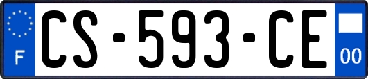 CS-593-CE