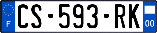 CS-593-RK