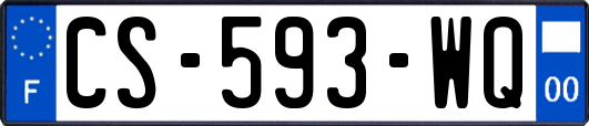 CS-593-WQ