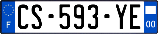 CS-593-YE