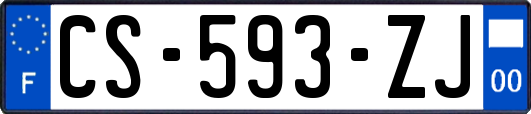 CS-593-ZJ