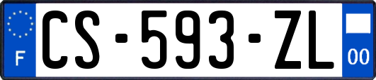 CS-593-ZL