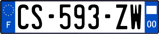 CS-593-ZW