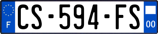 CS-594-FS