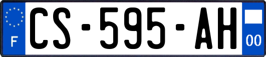 CS-595-AH