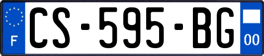 CS-595-BG