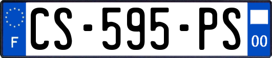 CS-595-PS