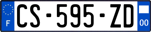 CS-595-ZD