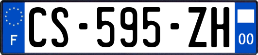 CS-595-ZH