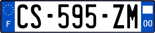 CS-595-ZM