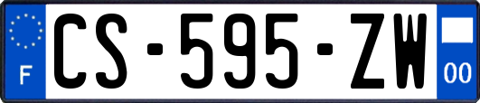 CS-595-ZW