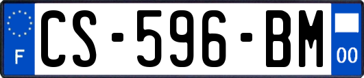 CS-596-BM