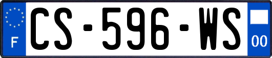 CS-596-WS