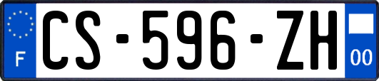 CS-596-ZH