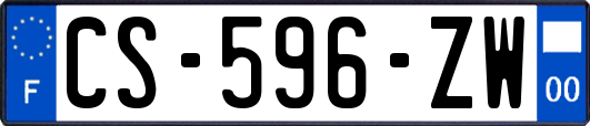 CS-596-ZW