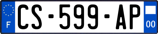 CS-599-AP