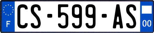 CS-599-AS