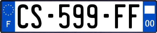 CS-599-FF