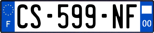 CS-599-NF