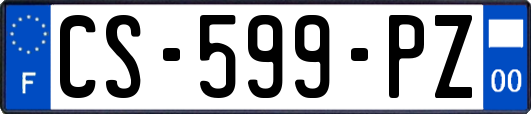 CS-599-PZ