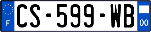 CS-599-WB
