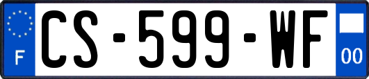CS-599-WF