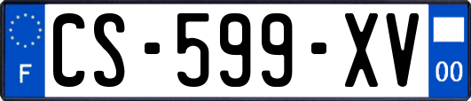 CS-599-XV