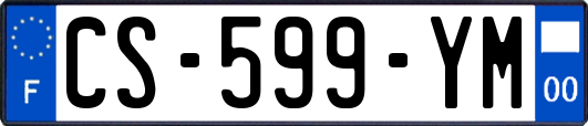 CS-599-YM