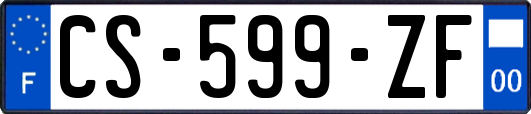 CS-599-ZF