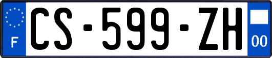 CS-599-ZH