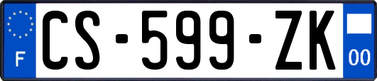 CS-599-ZK