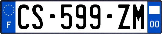 CS-599-ZM