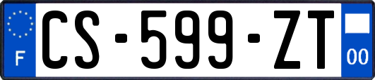 CS-599-ZT