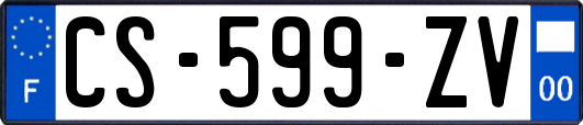 CS-599-ZV