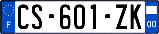 CS-601-ZK