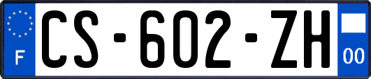 CS-602-ZH