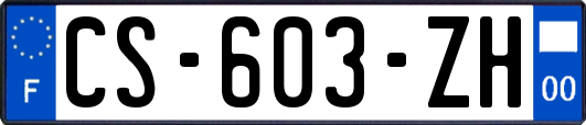 CS-603-ZH