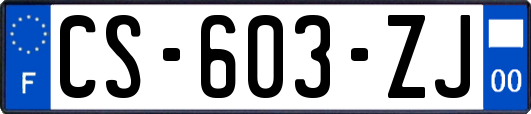 CS-603-ZJ