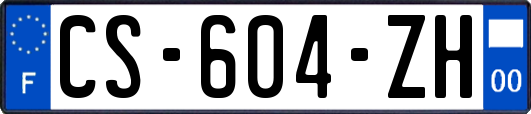 CS-604-ZH