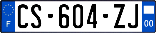 CS-604-ZJ