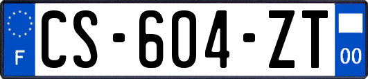 CS-604-ZT