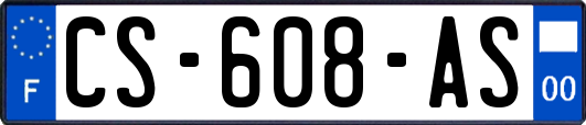 CS-608-AS