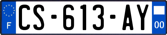 CS-613-AY