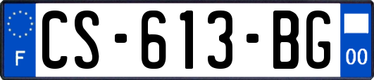 CS-613-BG