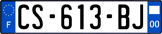 CS-613-BJ