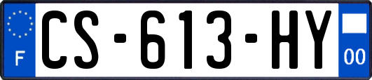 CS-613-HY