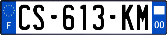 CS-613-KM