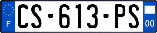 CS-613-PS