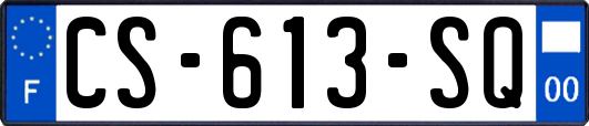 CS-613-SQ