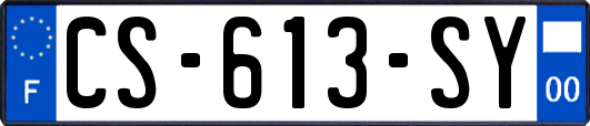 CS-613-SY